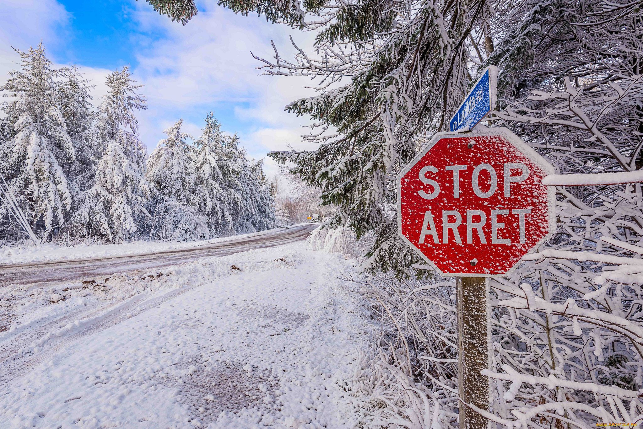 , , , snow, road, , , winter, trees